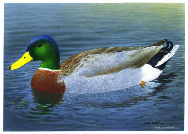 Handcrafted Fishing Lures Greeting Card | Quilling Card - View #10